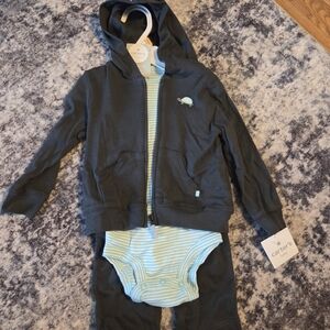 Carter's Dark Gray and Light Blue Bodysuit Set